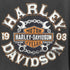 ハーレーダビッドソン HARLEY-DAVIDSON メキシコ製 コピーライト 2019 両面プリント スカル クルーネック S/S Tシャツ メンズ import:XL
