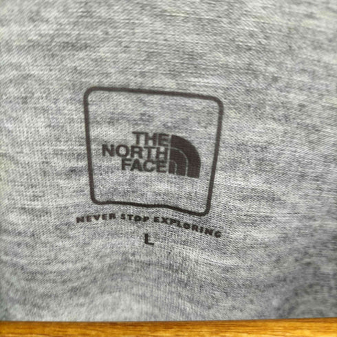 ザノースフェイス THE NORTH FACE Tシャツ メンズ import:L