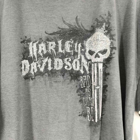 ハーレーダビッドソン HARLEY-DAVIDSON スカルプリント S/S Tシャツ メンズ