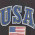 インディペンデント INDEPENDENT USA 星条旗プリント クルーネックTシャツ メンズ M