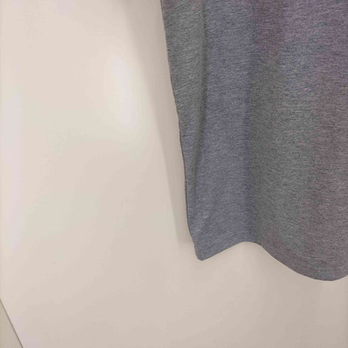 ザノースフェイス THE NORTH FACE S/S DAYLILLY LG T ショートスリーブデイリリーロゴティー メンズ import:M
