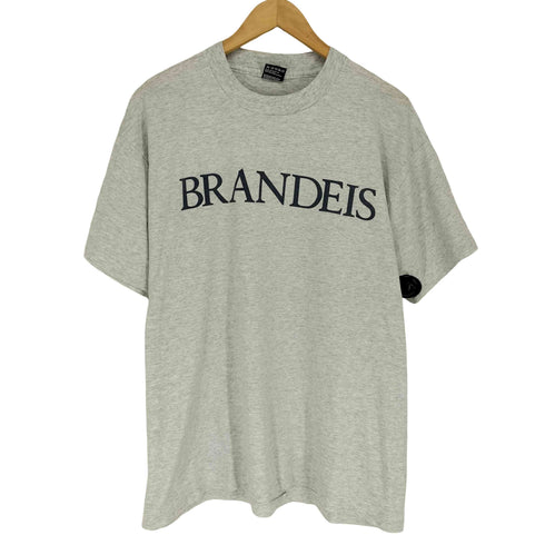 フルーツオブザルーム FRUIT OF THE LOOM 90s- USA製 袖裾シングル 霜降り BRANDEIS フロントプリントクルーネックTシャツ メンズ XL