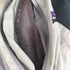 パタゴニア patagonia 00S 雪無しタグ Micro Burst Jacket メンズ XL