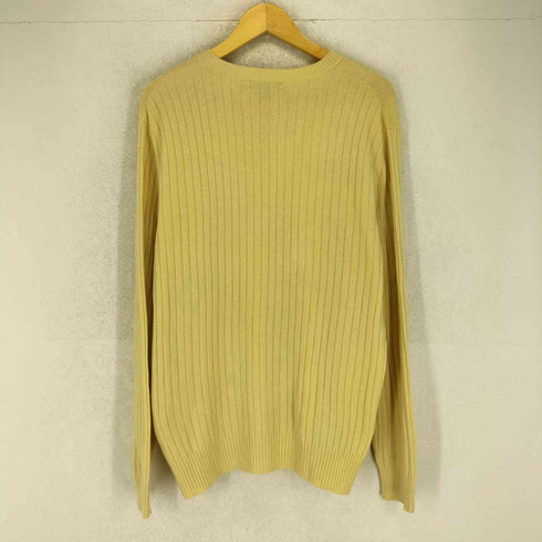 ランズエンド LANDS END Vネックカシミヤニット メンズ import:L