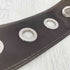 パメオポーズ Pameo Pose Zircon Belt PVC ベルト レディース