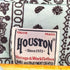 ヒューストン HOUSTON ペイズリー 開襟シャツ メンズ L
