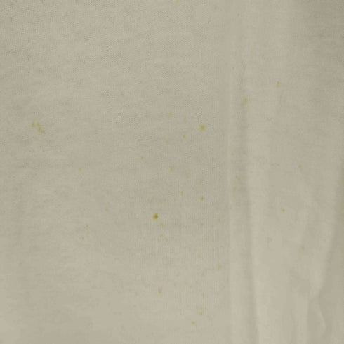 フルーツオブザルーム FRUIT OF THE LOOM 80-90S USA製 企業ロゴ ワンポイント プリント S/S クルーネック Tシャツ メンズ import:S