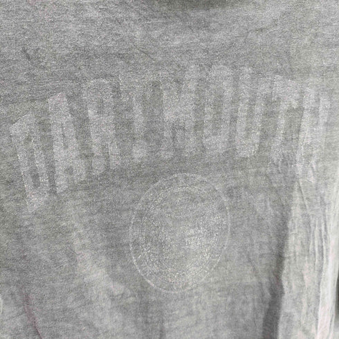 チェスウィック Cheswick USA製 DARTMOUTH プリント S/S カレッジ フェード Tシャツ メンズ import:S