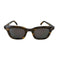 ステューシー Stussy Ace Sunglasses Tortoise Black Lens メンズ