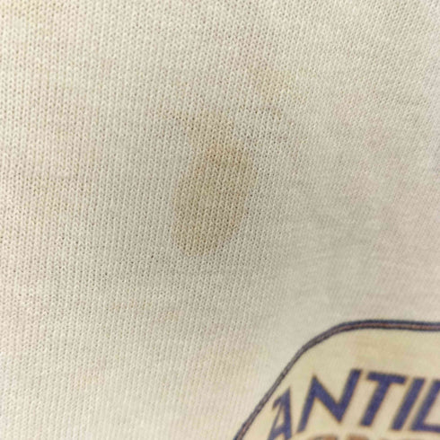 フルーツオブザルーム FRUIT OF THE LOOM 90s カナダ製 BEST ANTIDOTE ONCEPT プリント クルーネック Tシャツ シングルステッチ メンズ import:XL