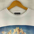 ザラ ZARA ALEXANDRE CABANEL ARTY T-SHIRT レディース import:M