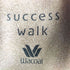 ワコールサクセスウォーク Wacoal success walk レザー ポインテッドトゥ スエード パンプス レディース JPN:23