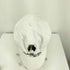 ポロラルフローレン POLO RALPH LAUREN POLO BEAR CLASSIC SPORT CAP メンズ