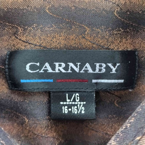 CARNABY コットン ポリ 総柄 波状 ストライプ L/S シャイニー シャツ メンズ import:L