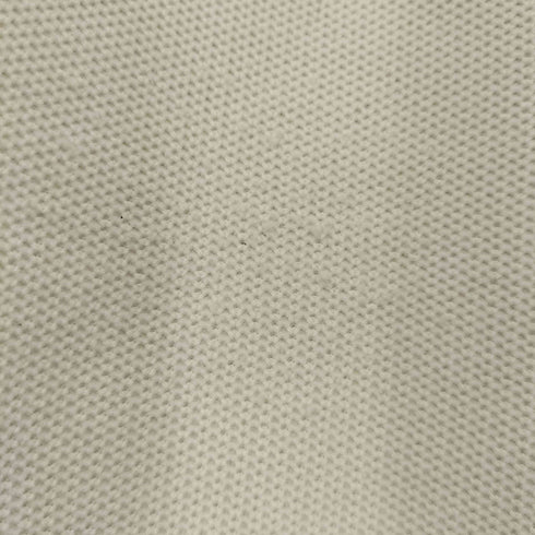 ラコステ LACOSTE 別注 1トーン ショートスリーブ Tシャツ メンズ import:S