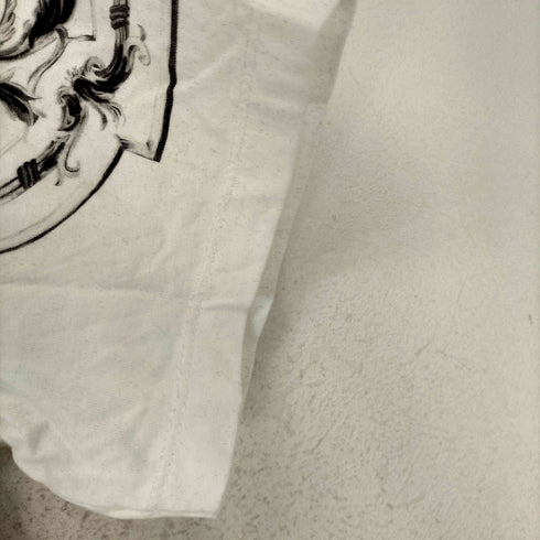 ザラ ZARA Y2K 虎 クルーネック Tシャツ メンズ import:L
