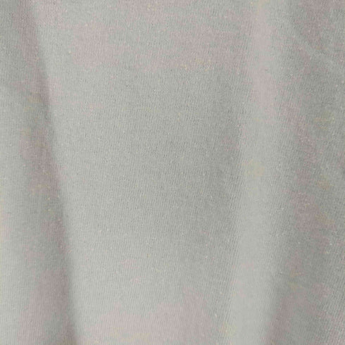 パタゴニア patagonia レスポンシビリティー プリントTシャツ メンズ import:S