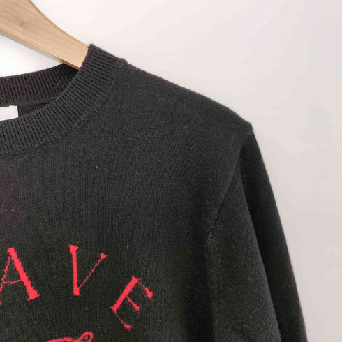 スナイデル snidel 23AW SustainaモチーフJQニットプルオーバー レディース ONE SIZE