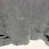 ザラ ZARA ワッフル生地 プリント ダメージ加工 クルーネック Tシャツ メンズ import:M