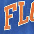 ナイキ NIKE 00s nike team florida プリント クルーネックTシャツ メンズ import:XXL