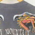 ハーレーダビッドソン HARLEY-DAVIDSON ドラゴンプリントクルーネックS/S Tシャツ コピーライト2010 メンズ JPN:L