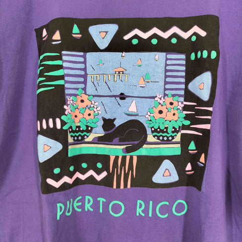 オニータ ONEITA 90s- USA製 袖裾シングル PUERTO RICO メンズ XL