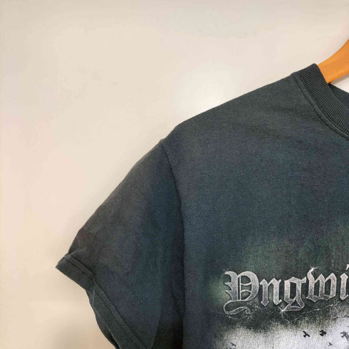 ギルダン GILDAN テクニカル ギタリスト 豚貴族 Tシャツ メンズ import:S