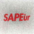 サプール SAPEur YEAR OF THE SNAKE HOODIE メンズ JPN:XL