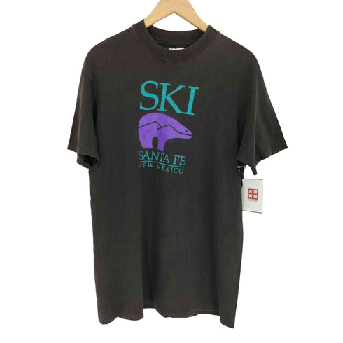 ヘインズ Hanes USA製 シングルステッチ クルーネック Tシャツ メンズ import:L