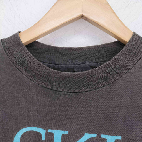 ヘインズ Hanes USA製 シングルステッチ クルーネック Tシャツ メンズ import:L