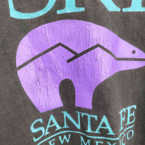 ヘインズ Hanes USA製 シングルステッチ クルーネック Tシャツ メンズ import:L