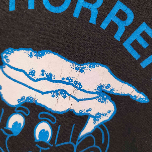 フルーツオブザルーム FRUIT OF THE LOOM USA製 シングルステッチ 両面プリント クルーネック Tシャツ メンズ import:L