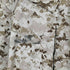 USMC ミリタリージャケット SMALL-SHORT メンズ import:S