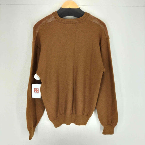 SALOON exp ウールVネックセーター メンズ JPN:M