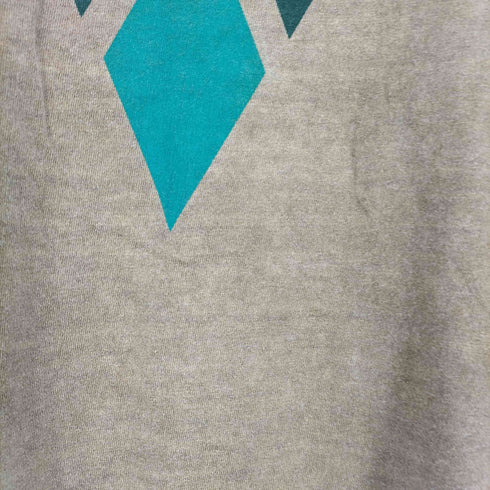 FLROBINSON USA製 ガーメントダイ 両面プリント Tシャツ メンズ import:L