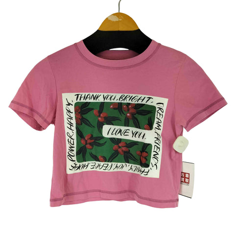 マウジー moussy 絵画プリント S/S カットソー レディース FREE