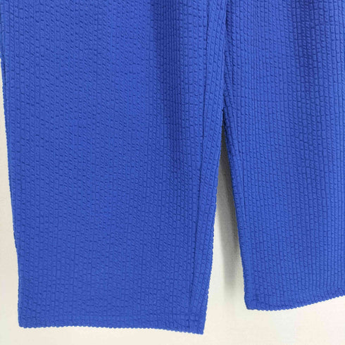 ジャーナルスタンダード JOURNAL STANDARD 25AW RIDING HIGH 別注ワイドサッカーパンツ レディース FREE