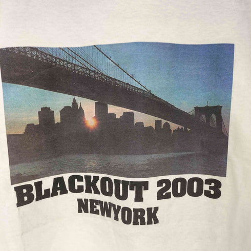 デルタプロウェイト DELTA PRO WEIGHT 00S USA製 2003 BLACKOUT プリントTシャツ メンズ M