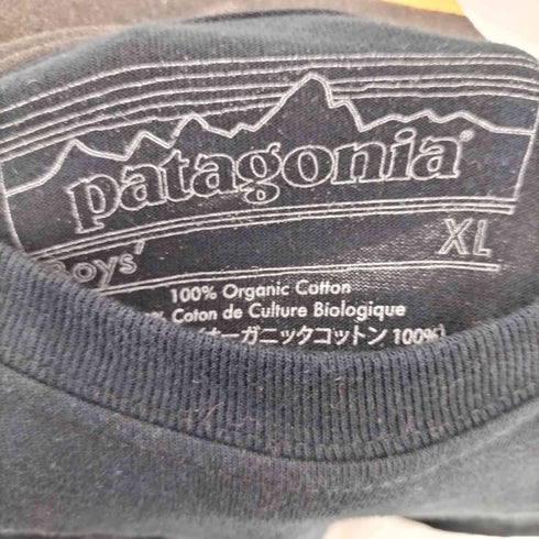 パタゴニア patagonia フロントプリント S/S Tシャツ レディース JPN:XL