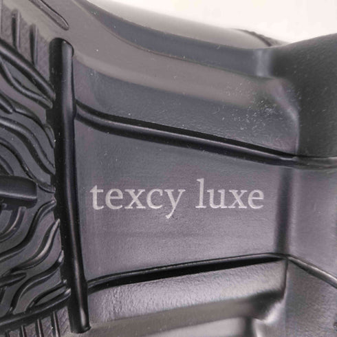 TEXCY LUXE 基本性能を備えたモデル | モンクストラップ メンズ JPN:25.5