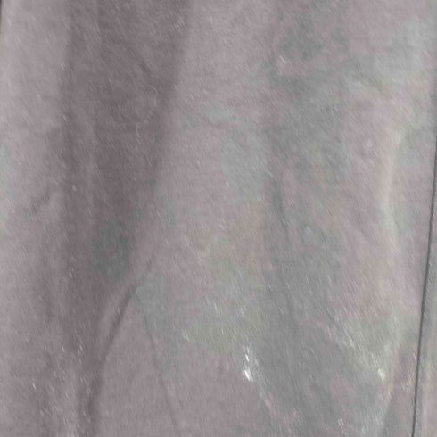 ガリャルダガランテ GALLARDAGALANTE 25ss ポンチイージータックパンツ レディース JPN:1