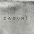 カデュネ CADUNE ロゴ刺繍 スエードライクトートバッグ レディース
