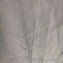 ドゥーズィエムクラス DEUXIEME CLASSE dresse pant レディース JPN:36