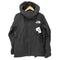 ザノースフェイス THE NORTH FACE Mountain Jacket マウンテンジャケット メンズ import:S