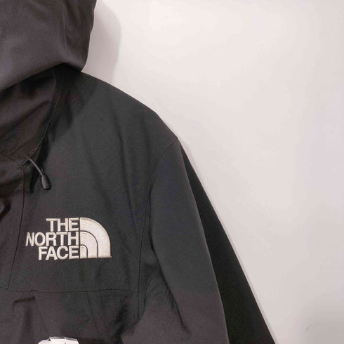 ザノースフェイス THE NORTH FACE Mountain Jacket マウンテンジャケット メンズ import:S