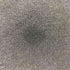 ヘルスニット Healthknit ilwil i like what i like classic sweat foodie メンズ JPN:XL