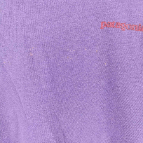 パタゴニア patagonia 90s USA製 ロゴプリントTシャツ メンズ M