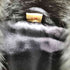 fur jacket ジップアップファージャケット レディース JPN:13号