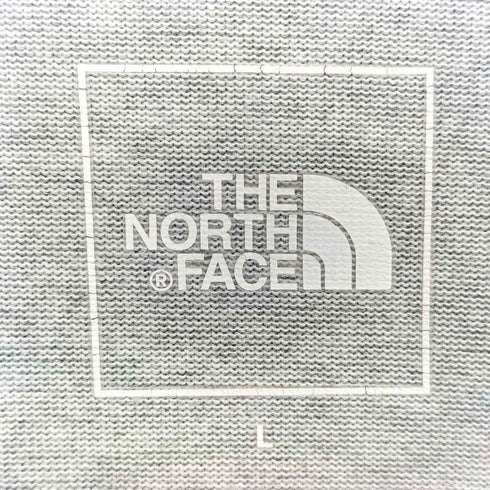 ザノースフェイス THE NORTH FACE L/S Small Box Logo Tee ロングスリーブ スモールボックス ロゴ ティー メンズ JPN:L