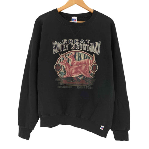 ラッセルアスレチック RUSSELL ATHLETIC 90s メキシコ製 GREAT SMOKY MOUNTAINS プリント Vガゼット 裏起毛 スウェット メンズ import:L